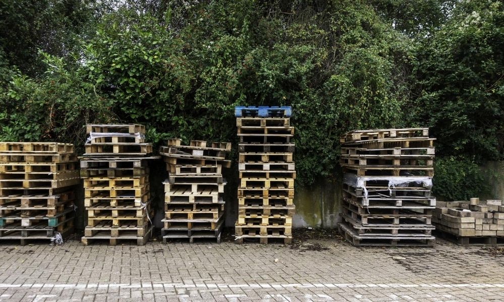 What You Need to Know When Buying Used Wood Pallets