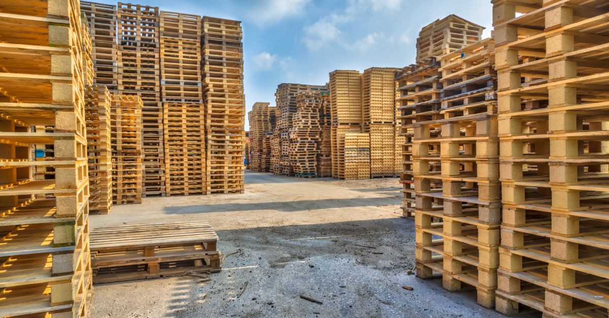 Large piles of cargo pallets are stacked incredibly high on the ground outside. They are almost reaching the bright, blue sky.