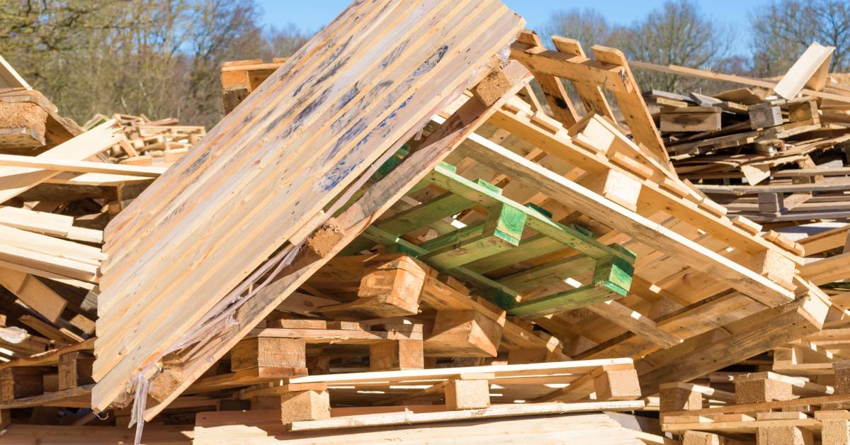 A stack of wooden pallets sitting in a large pile of wood debris outside. Trees and blue sky are visible in the background.